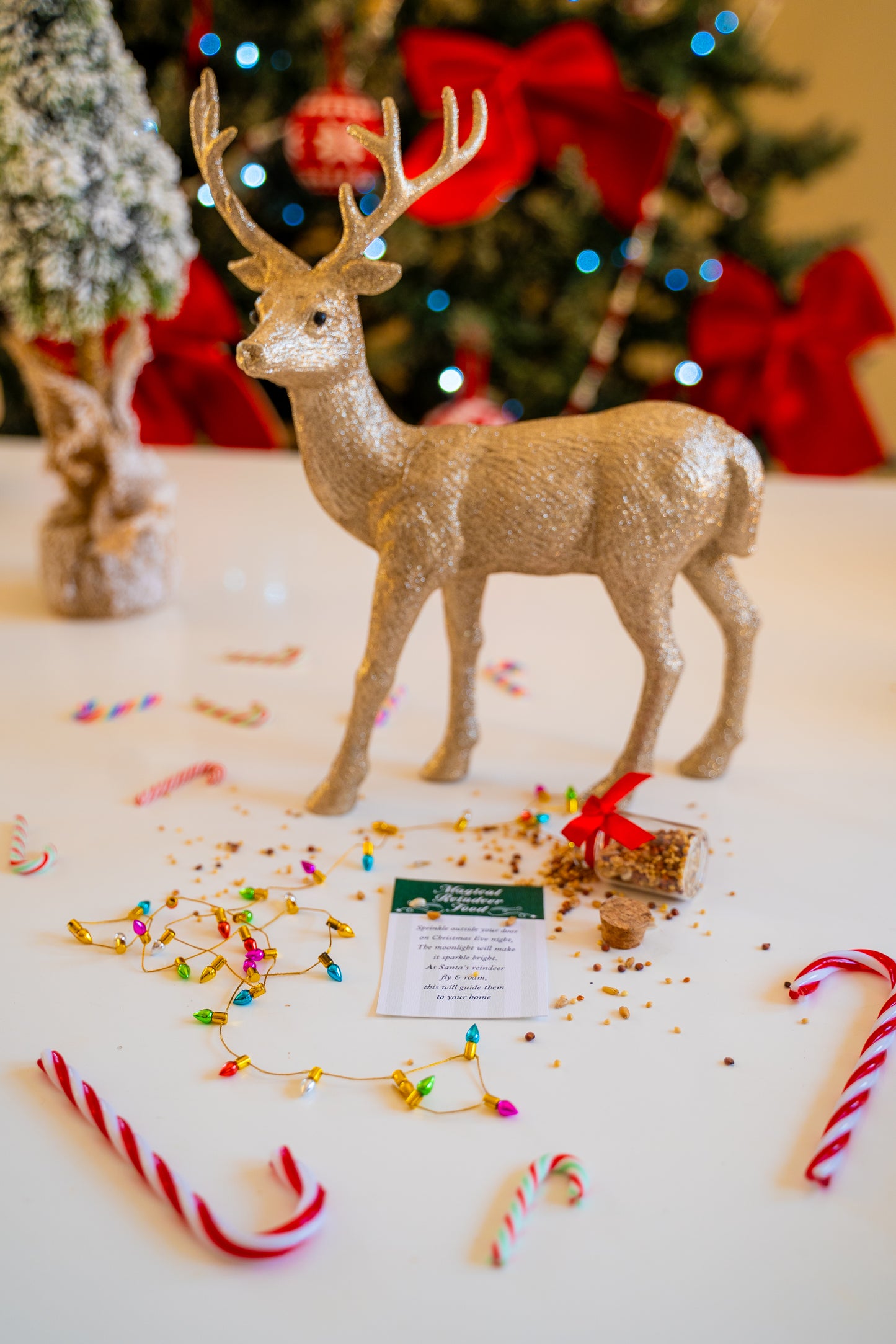 Magical Reindeer food