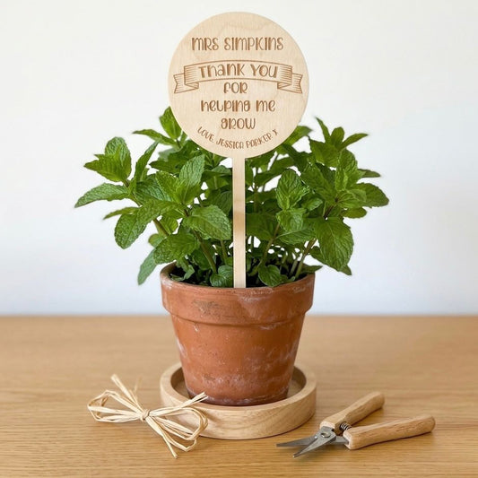 Thank You Teacher Planter Stick